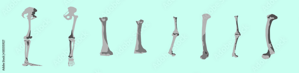 set of bone cartoon icon design template with various models. vector illustration isolated on blue background set of bone cartoon icon design template with various models. vector illustration isolated on blue background