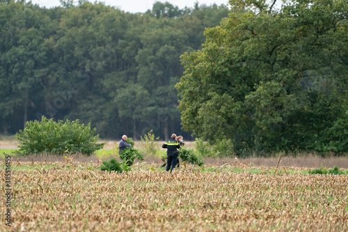 Obraz na płótnie Ravenswoud - October 15 2020: Ravenswoud, Friesland, The Netherlands. Marijuana found by police on a field. The Netherlands w salonie