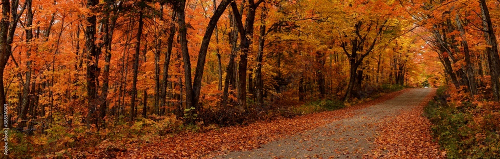 
The road to the resort in autumn, Sainte-Apolline