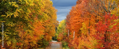  The road to the resort in autumn, Sainte-Apolline