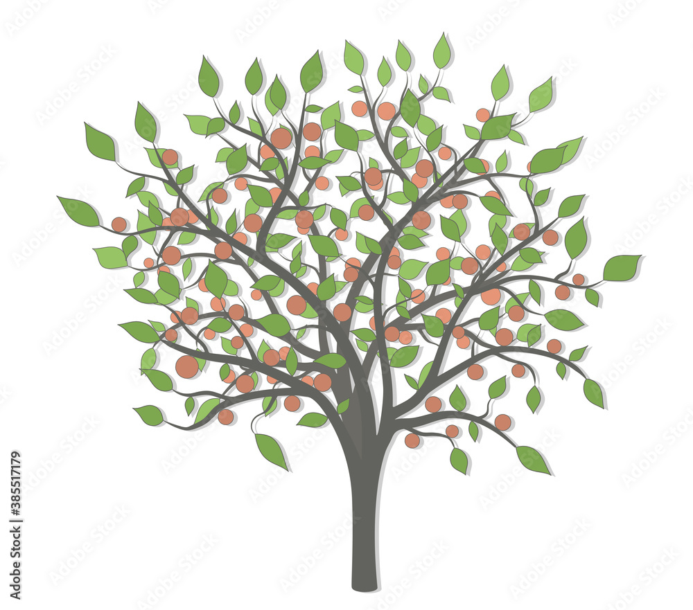 Tree with green leaves and red fruits of different sizes and tones on a white background