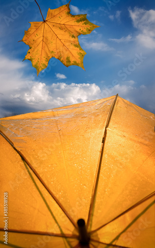 Autumn mood. Yellow maple leaf against the blue sky and a yellow umbrella with rain drops.