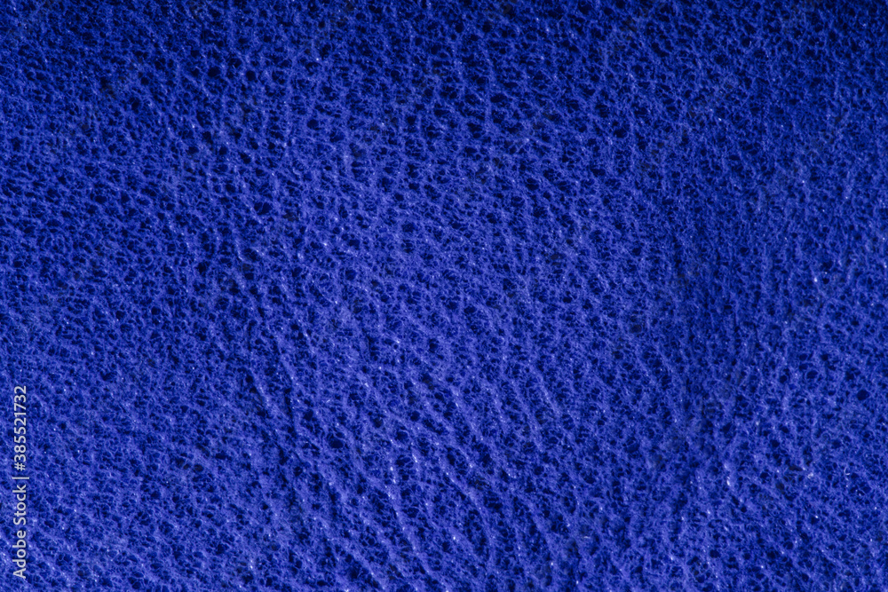 Texture of natural blue skin, macro. Background.