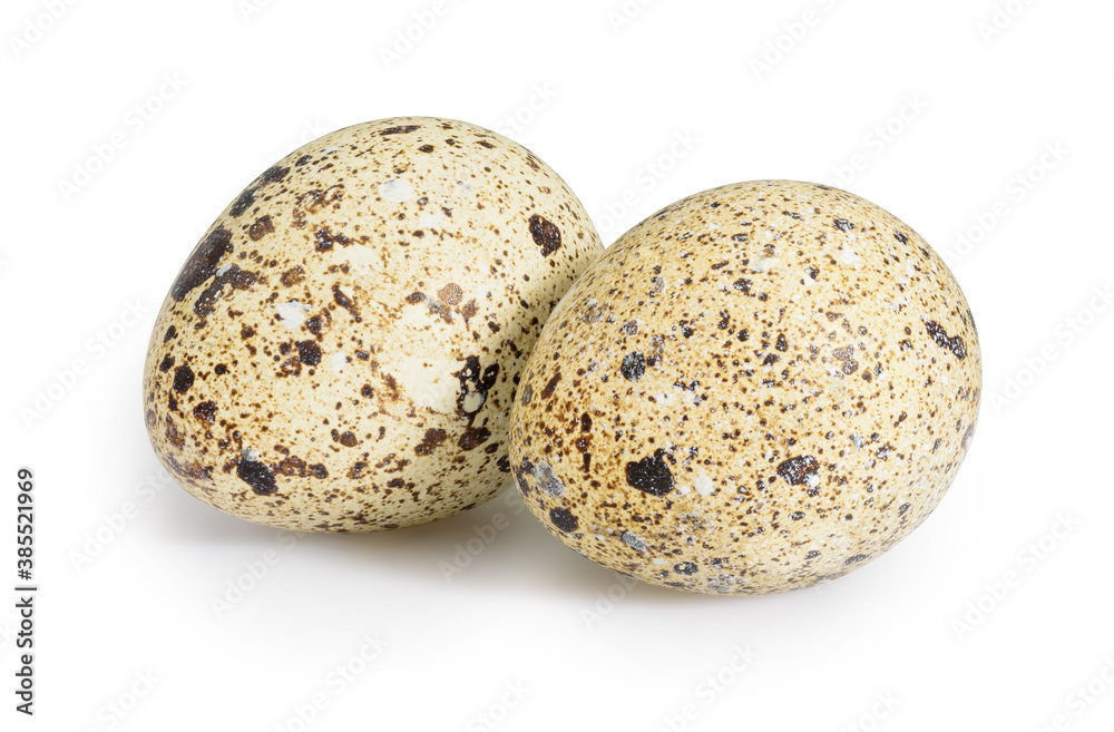 Quail eggs isolated on white background Quail eggs isolated on white background