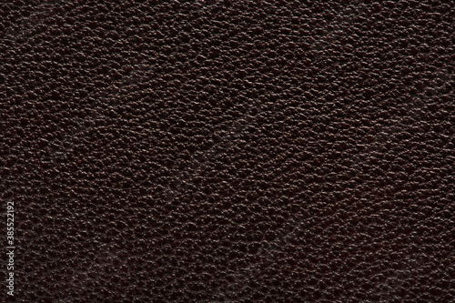 The texture of the skin is dark brown. Background