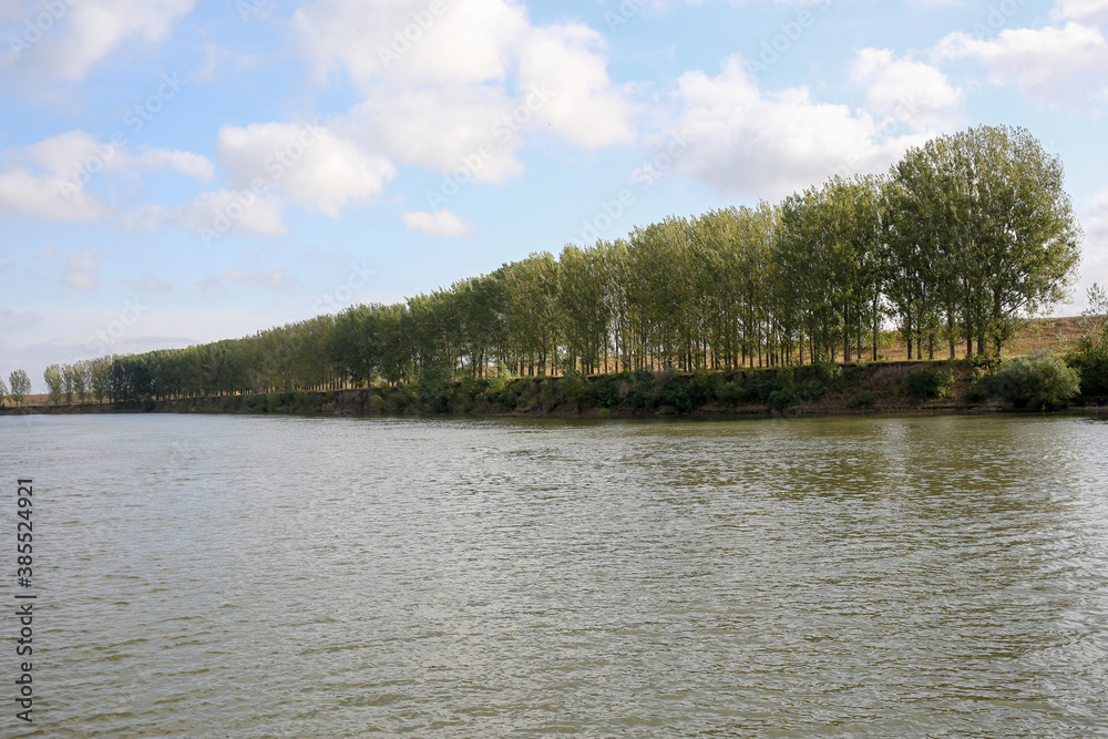River landscape. River, coastline, poplars, blue sky. River landscape. River, coastline, poplars, blue sky.
