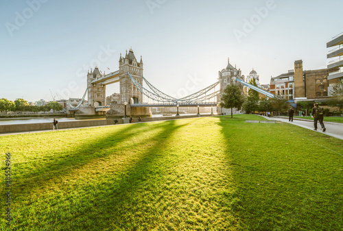 Canvas Print grass and tower bridge in sunny morning London, UK