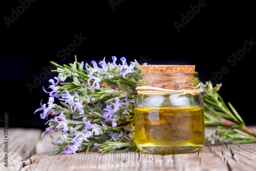 Fresh rosemary and rosemary...
