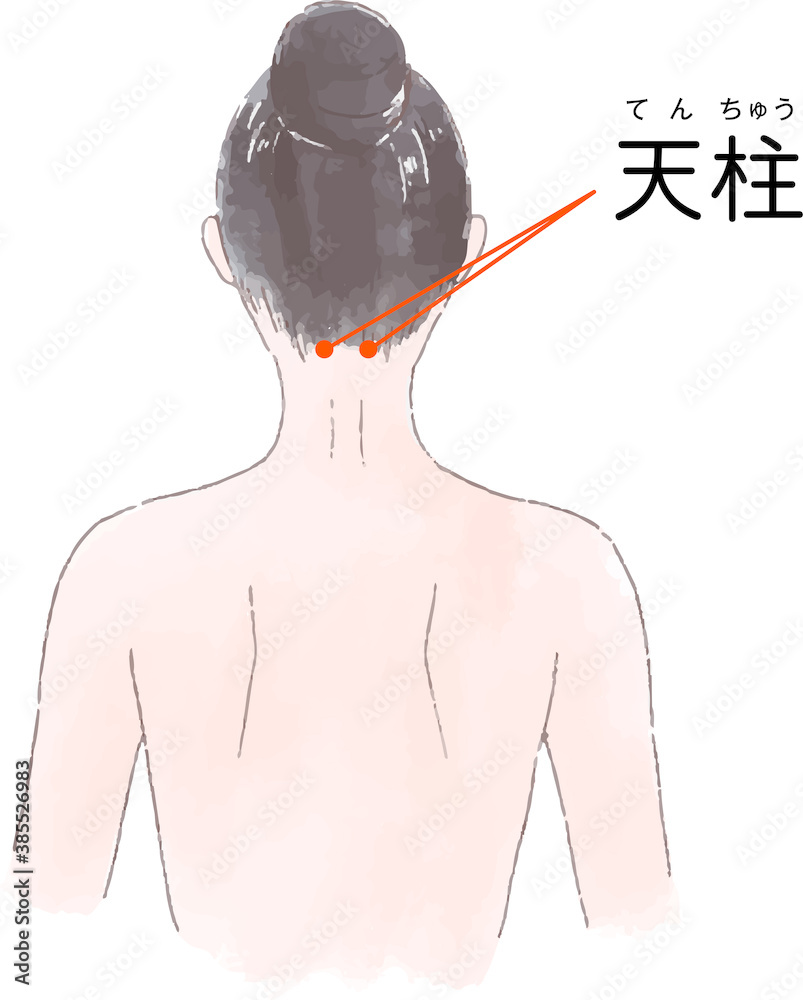 ツボ・経穴「天柱」の手描き風イラスト vector de Stock | Adobe Stock