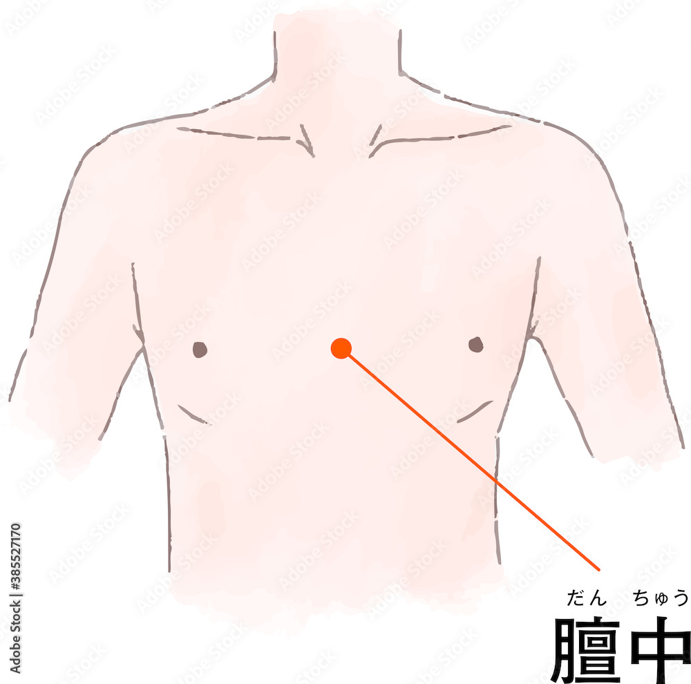 ツボ 経穴 膻中 の手描き風イラスト Stock Vector Adobe Stock