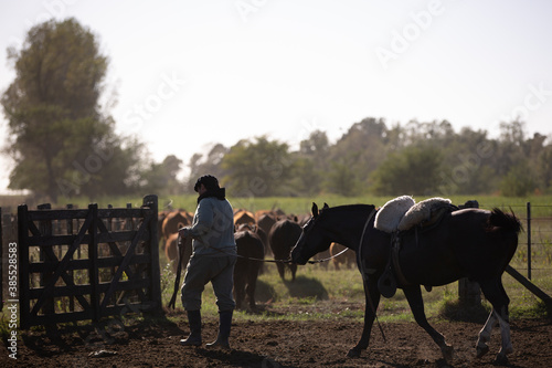 Canvastavla Hombres trabajando con ganado a caballo