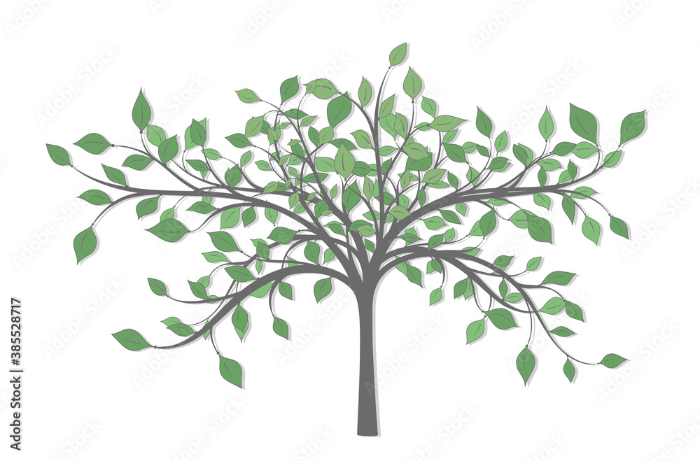 Drawing of a tree with branches and lots of green leaves of different sizes and tones on a white background Drawing of a tree with branches and lots of green leaves of different sizes and tones on a white background