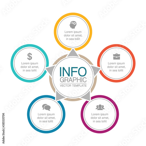 Vector infographic template, circle with 5 steps or options. Data presentation, business concept design for web, brochure, diagram.