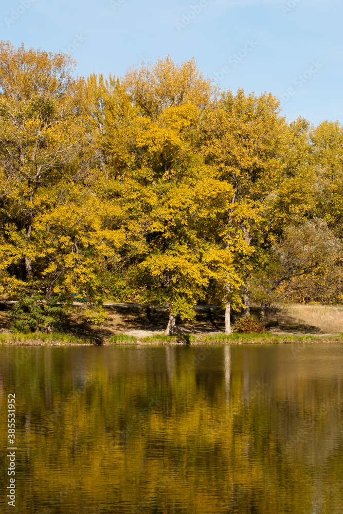 custom made wallpaper toronto digitalAutumn landscape. Landscape with trees and lake. Calm lake on a sunny autumn morning