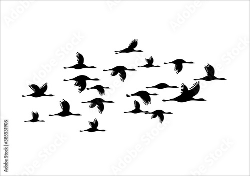 Illustration of a flock of flying birds. © MicroBit