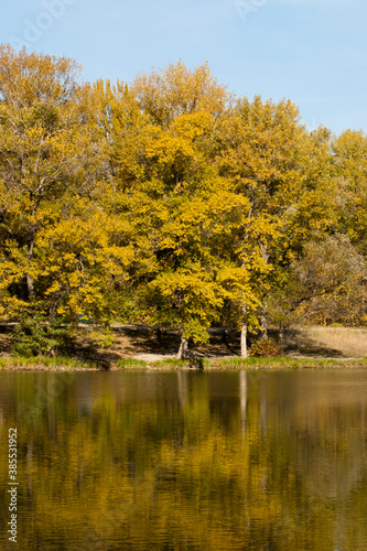 Wallpaper Mural Autumn landscape. Landscape with trees and lake. Calm lake on a sunny autumn morning Torontodigital.ca