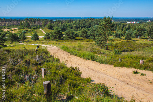 Wistinghauser Senne Nature Park near Oerlinghausen. It's a nature conservation area located in the Teutoburg Forest, North Rhine Westphalia, Germany photo