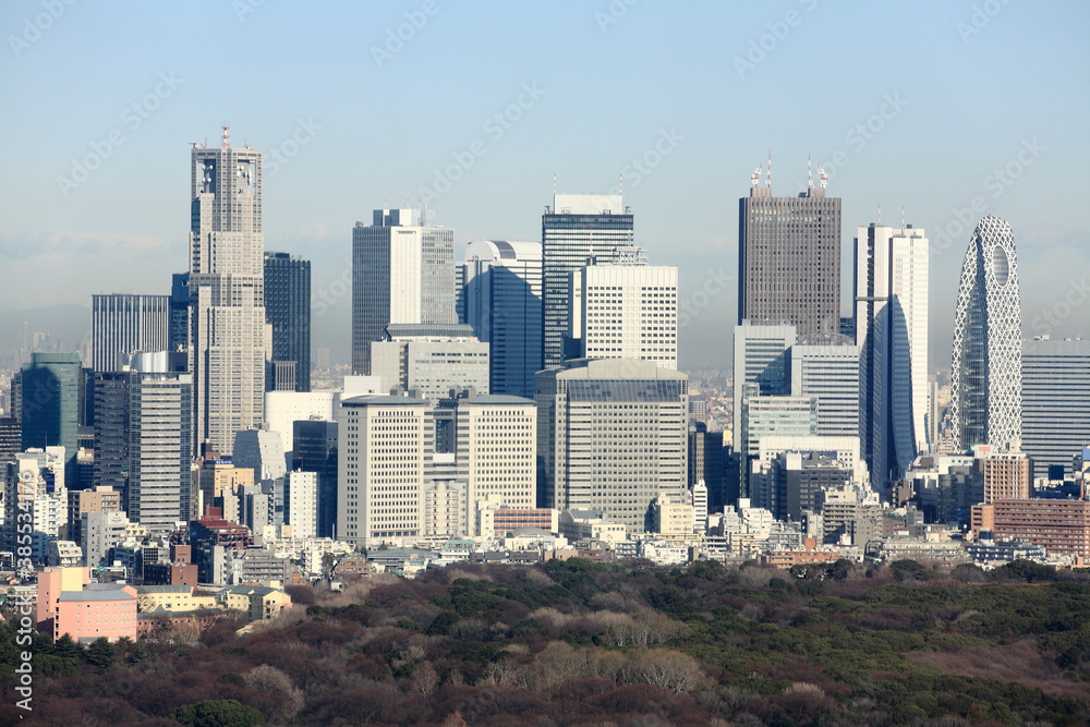 Obraz premium 西新宿ビル群