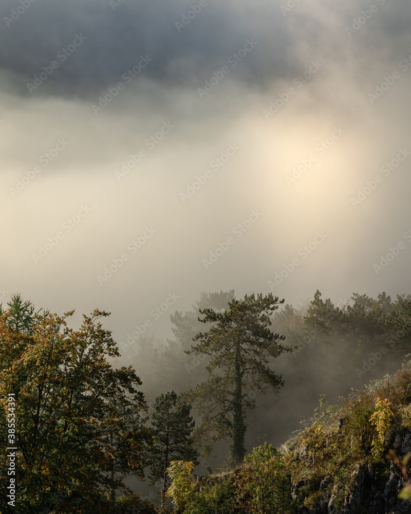 Trees and rocks disappearing in the fog in the morning in autumn in Blaubeuren