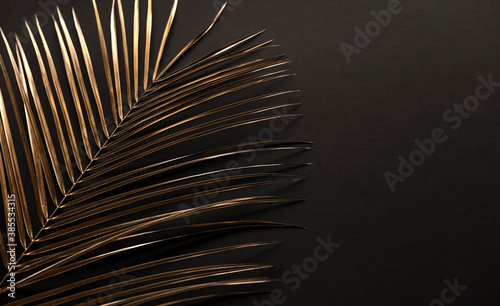 Closeup of golden palm leaves on black background. Copy space.  Flat lay.  Lu...