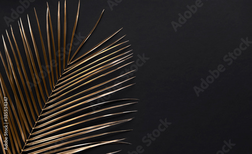 Closeup of golden palm leaves on black background. Copy space.  Flat lay.  Lu...