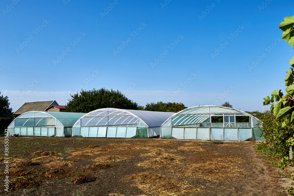 greenhouse with a greenhouse greenhouse with a greenhouse
