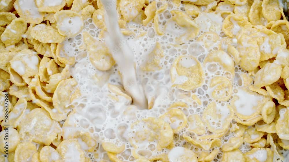 Milk poured to bowl corn flakes, drops of milk falling into cereal breakfast drips and splashes, Dairy products contain lot of calcium. Milk pouring in bowl of muesli breakfast cereals Healthy food Milk poured to bowl corn flakes, drops of milk falling into cereal breakfast drips and splashes, Dairy products contain lot of calcium. Milk pouring in bowl of muesli breakfast cereals Healthy food