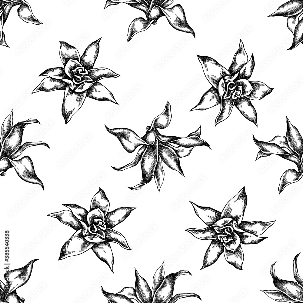 Seamless pattern with black and white guzmania Seamless pattern with black and white guzmania