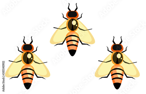 A set of honey bees. An illustration of honey bees. Colourful honey bees isolated on white background.