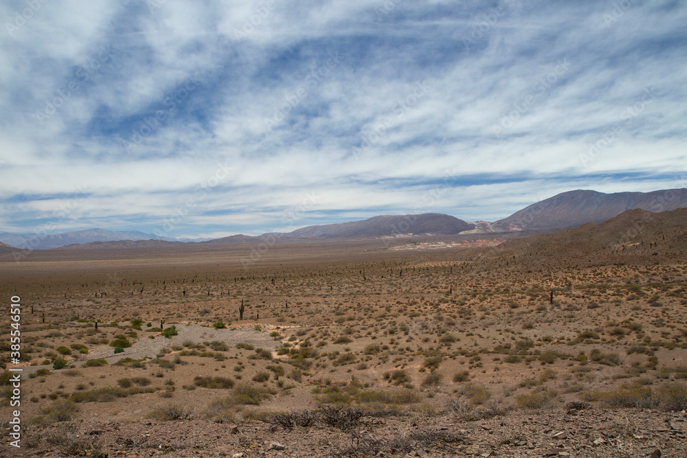 Desert landscape. View of the arid land, valley, vegetation and mountains in the horizon. Desert landscape. View of the arid land, valley, vegetation and mountains in the horizon.
