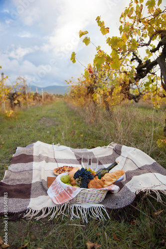  Picnic in the vineyard in autumn