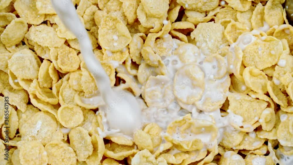 Milk is poured to bowl corn flakes in slow motion, drops of milk falling into cereal breakfast drips and splashes, slow mo white liquid. Milk pouring in bowl of muesli breakfast cereals. Healthy food Milk is poured to bowl corn flakes in slow motion, drops of milk falling into cereal breakfast drips and splashes, slow mo white liquid. Milk pouring in bowl of muesli breakfast cereals. Healthy food