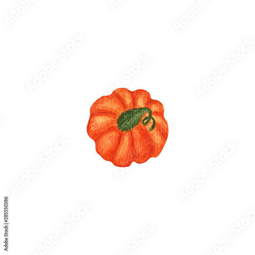 Watercolor Halloween fall pumpkin illustration isolated on white background