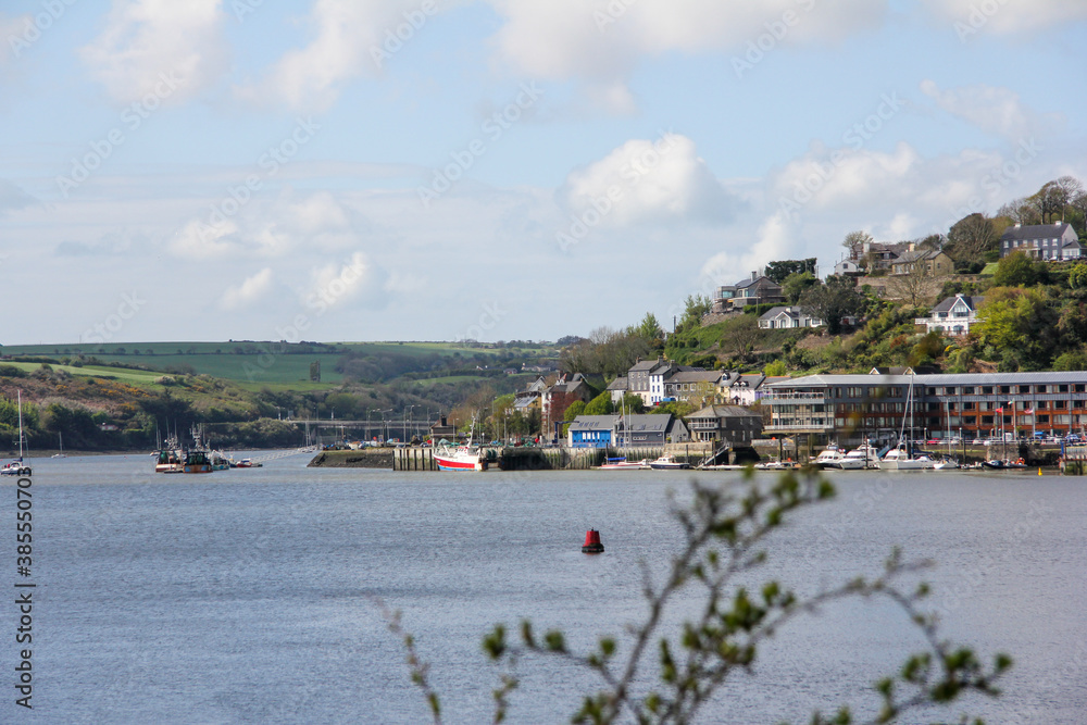 Port of Kinsale with vegetation and background huts with blurred plants in the foreground Port of Kinsale with vegetation and background huts with blurred plants in the foreground