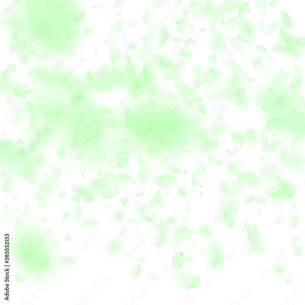 Green flower petals falling down. Positive romanti Green flower petals falling down. Positive romanti