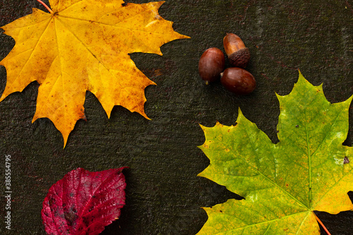 Bunch of autumn leaves on a dark wooden background with nuts
