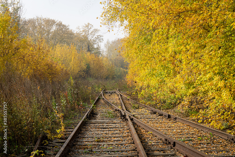 Fototapeta premium Railroad among yellowed trees on a sunny autumn day. The rails strewn with leaves go into the grass. The merger of two railway lines. There is fog in the distance.