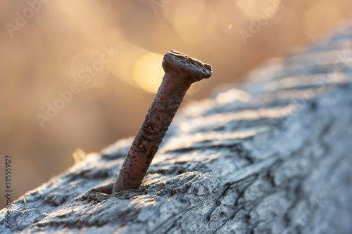 Old rusty curved nail in gray board against golden sunset background