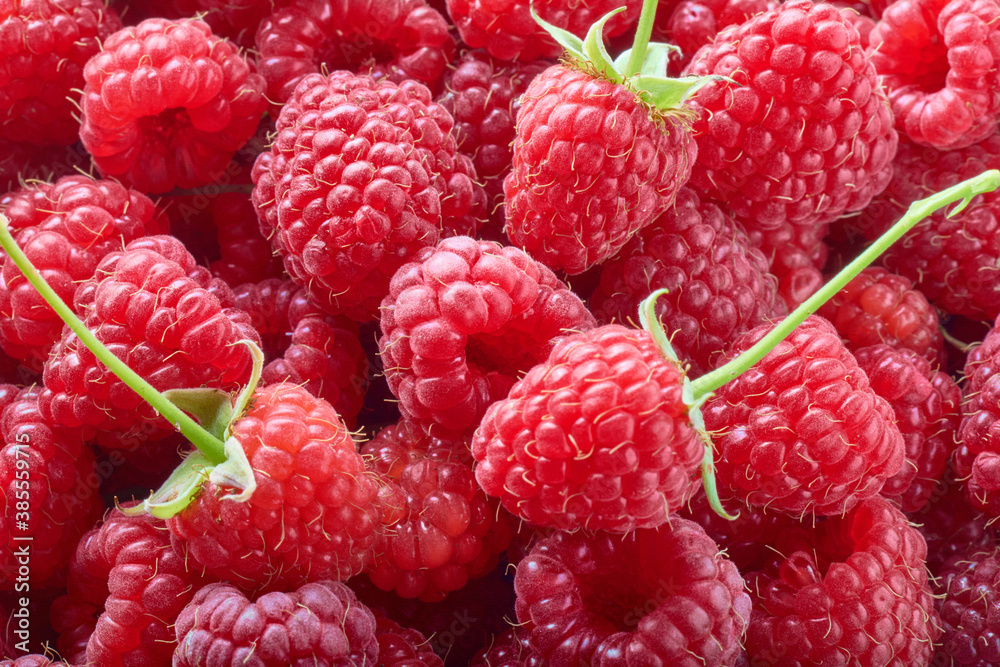 Red Ripe Delicious raspberries with green tail background. Raspberry texture. Healthy food organic concept. Red Ripe Delicious raspberries with green tail background. Raspberry texture. Healthy food organic concept.