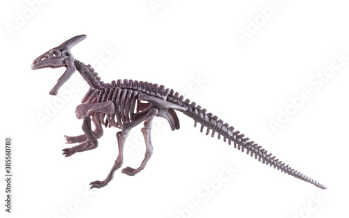 A parasaurolophus skeleton model on the white background. © vadim