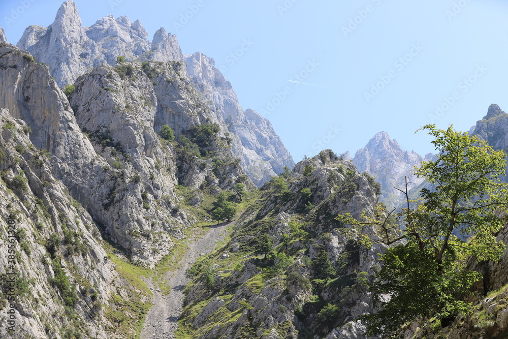 Castilla y León. León. Caín. El Cares. “Un río atraviesa la roca no por
