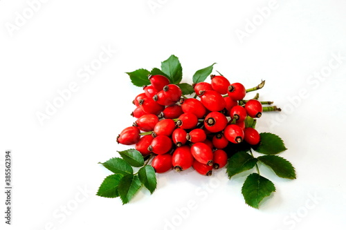 ripe fresh rosehip berries on twigs with green leaves on a white background, space for text