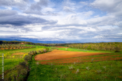 Pastural landscape, Castiglione Del Lago, Italy