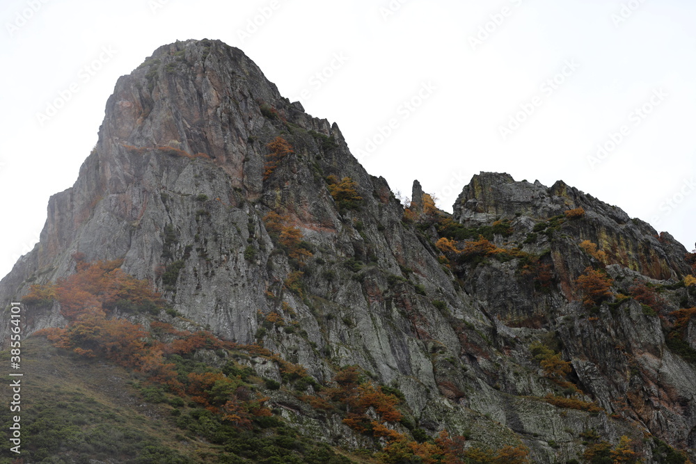 Castilla y León. León. Picos de Europa. Valdeón. ¡No te angusties! La vida vuelve a empezar con el otoño.