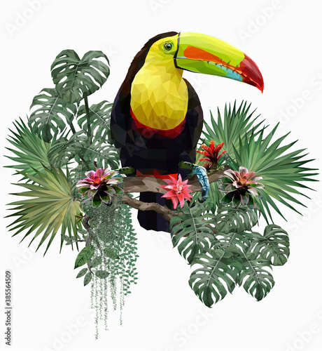 Polygonal Illustration Toucan bird.