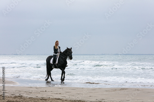 young woman on a horse on the beach