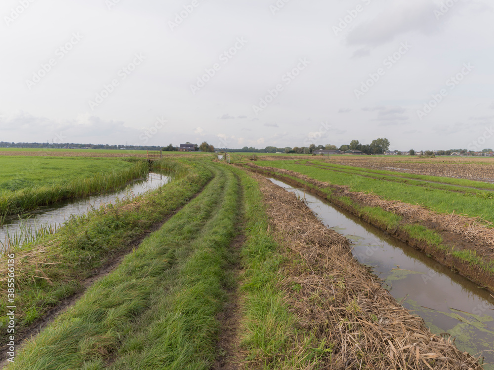 A ditch between meadows in Nigtevecht, The Netherlands