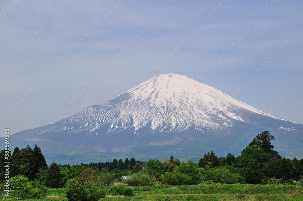 富士山 富士山
