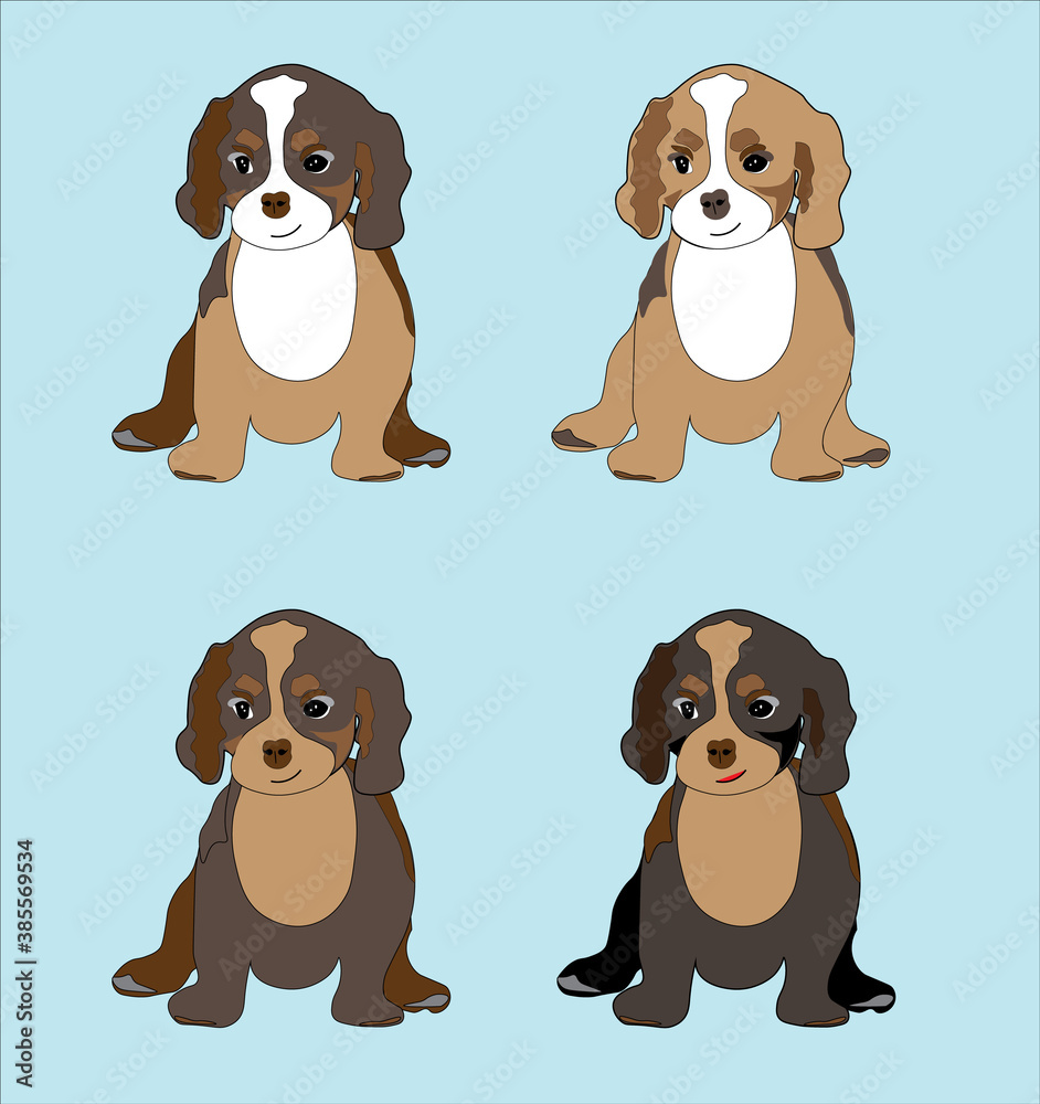 Cute Cavalier King Charles Spaniel Illustration. Tricolor, Blenheim, Black and Tan breed puppies colorful vector