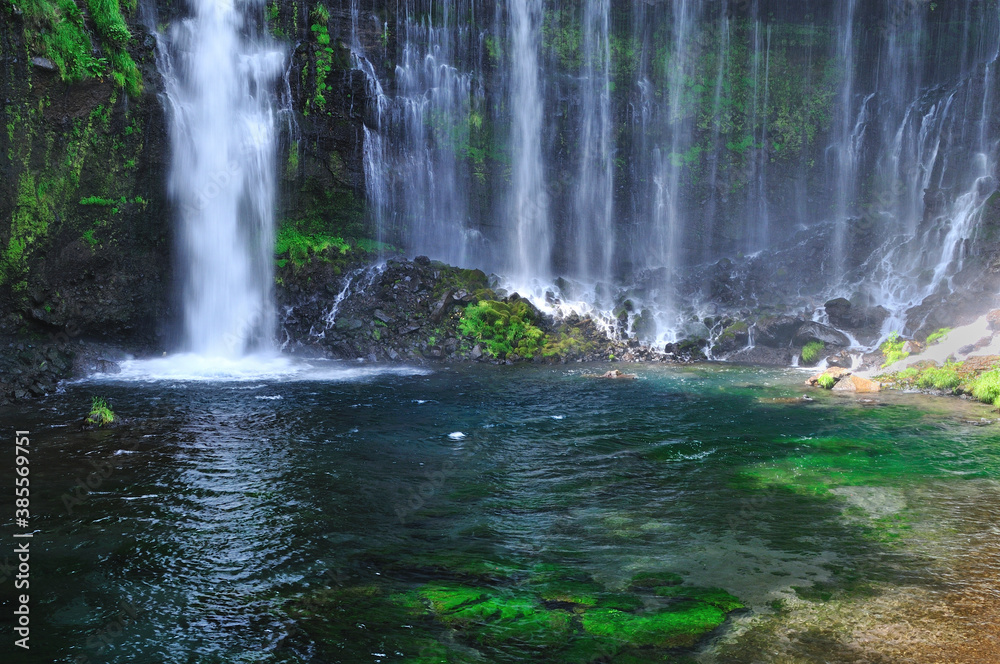 白糸の滝 白糸の滝